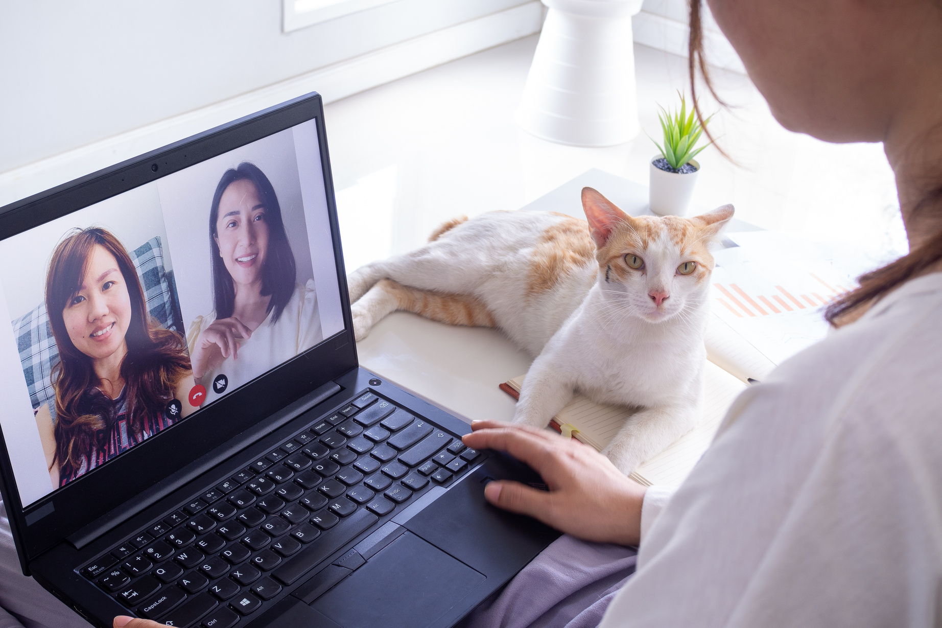 Video Chatting Friends During Quarantine 